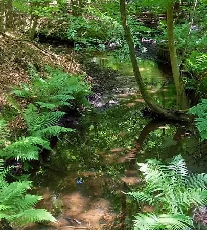 't Uiltje * Ermelo