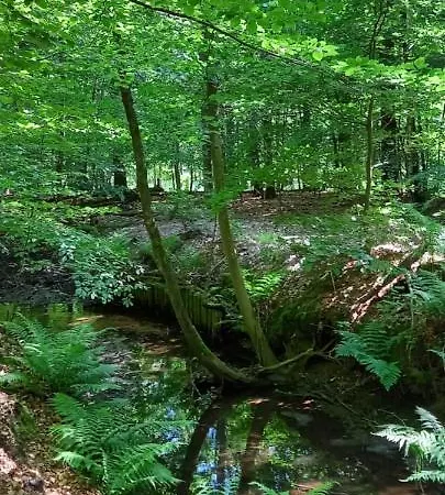 't Uiltje Chalet Ermelo