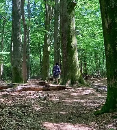Chalet 't Uiltje