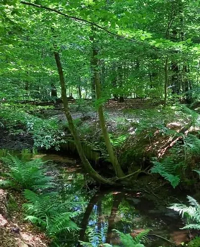 't Uiltje Chalet Ermelo